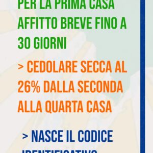 cedolare secca 2024 e codice identificativo nazionale